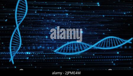 Bild von dna-Strängen auf schwarzem Hintergrund Stockfoto