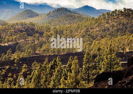 Atemberaubende Landschaft im Nationalpark El Teide Stockfoto