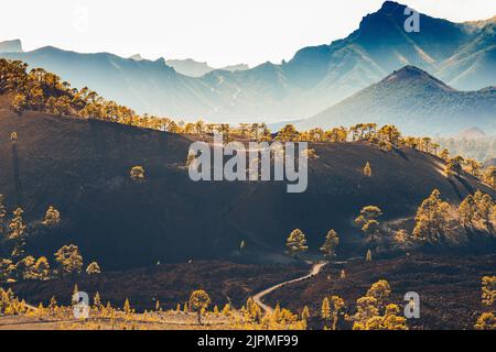 Atemberaubende Landschaft im Nationalpark El Teide Stockfoto