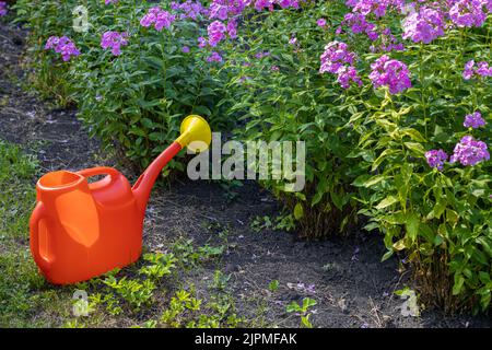 Auf einem Blumenhintergrund steht eine rote Gießkanne aus Kunststoff. Hochwertige Fotos Stockfoto