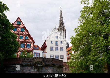 Landschaftlich reizvolle Aussicht auf die Stadt Ulm mit dem uralten Ulmer Münster und schönen urigen alten Häusern in Deutschland an einem schönen Tag im Mai (Deutschland, Europa) Stockfoto