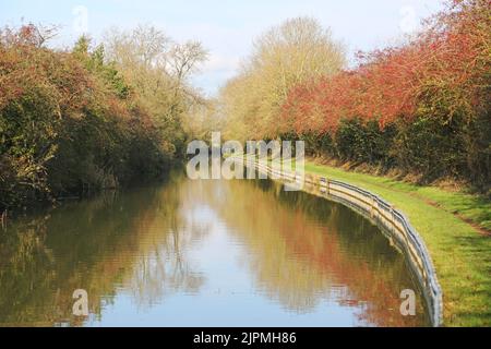 Herbst In Der Nähe Von Foxton Locks, Leicestershire Stockfoto