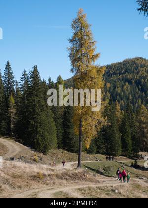 Bergsee Prebersee in den österreichischen Alpen während der Mittagspause Stockfoto