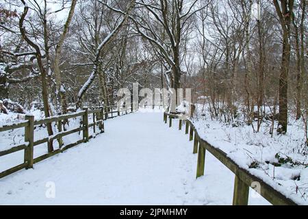 Ein schneebedeckter Fußweg durch einen Waldwald. Stockfoto
