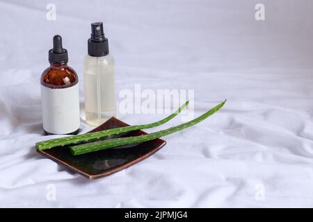 Produktmockup aus Aloe Vera Spray und Serum, das ein natürliches und umweltfreundliches Schönheits- und Körperpflegeprodukt zeigt Stockfoto