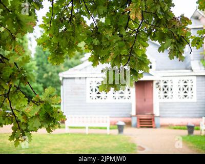 Muranovo, Russland - 7. August 2022: Nasse Eichenblätter und Herrenhaus auf dem Hintergrund im Mouranovo Estate Museum nach Regen. Muranovo ist Fjodor Tyutchev sta Stockfoto