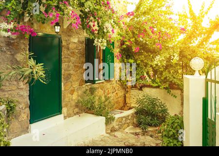 Schöner Innenhof eines alten Backsteinhauses in der Altstadt mit blühenden rosa Blüten von Bougainvillea. Goldene Stunde, Sonnenstrahlen bei Sonnenuntergang. Reise, vac Stockfoto