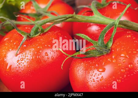 Rote reife Bio-Tomate mit Wassertropfen. Food Hintergrund, Nahaufnahme Foto Stockfoto