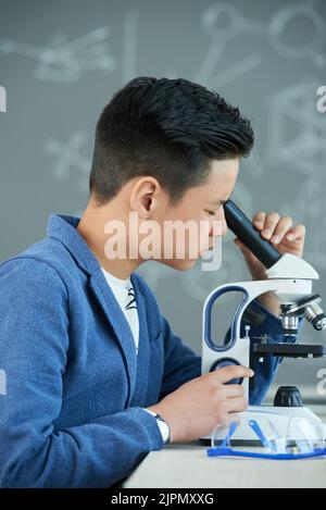 Profilansicht eines hübschen jungen Forschers, der am Schultisch sitzt und durch das Mikroskop schaut, während er im Klassenzimmer der Chemie experimentiert Stockfoto