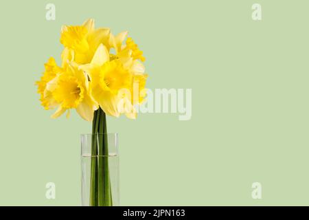 Bouquet von gelben Narzissen, Narzissen in transparenter Vase auf grünem Hintergrund mit Kopierraum. Modell, Vorlage für Urlaub, Geburtstag, Muttertag o Stockfoto