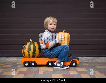 Boy in Denim-Overalls und einem Strickpullover sitzt auf einem großen Spielzeugauto und transportiert wunderschöne Bauernkürbisse zu einem Lagerhaus. Kleiner Helfer, Spiele für Stockfoto