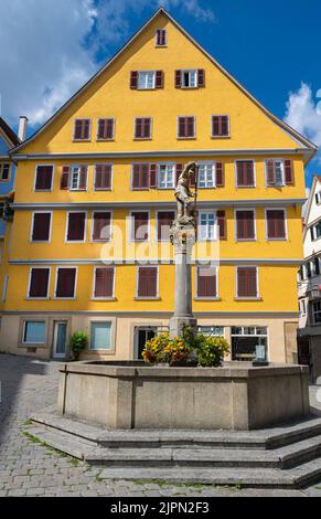 Marktplatz mit Brunnen vor der Stiftskirche Tübingen. Baden Württemberg, Deutschland, Europa Stockfoto