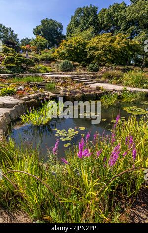 The Rock Garden in der RHS Wisley, Surrey, England, Großbritannien Stockfoto