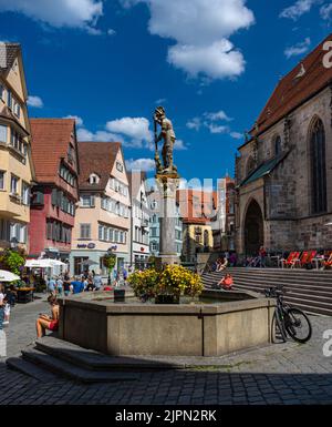 Marktplatz mit Brunnen vor der Stiftskirche Tübingen. Baden Württemberg, Deutschland, Europa Stockfoto