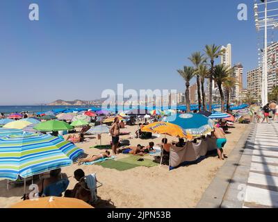 Sonnenbaden am Strand Levante in Benidorm, Alicante. Stockfoto