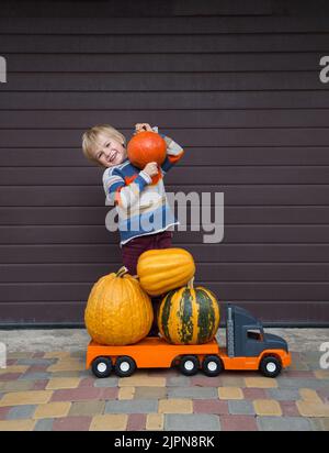 Der 5-jährige Junge steht mit einem Kürbis auf der Schulter in der Nähe eines mit großen Kürbissen beladenen Spielzeugautos. Herbsternte auf dem Bauernhof. Vorbereitung auf Halloween Stockfoto