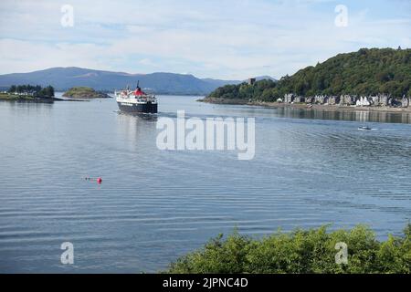 Die kaledonische MacBrayne-Inselfähre Isle of Mull, die von Oban, Argyll und Bute abfährt. Stockfoto