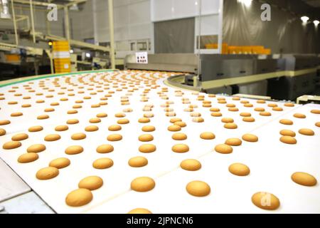 Kontrolle der Arbeit einer riesigen Fördermaschine zur Herstellung von Gewürzkuchen in der Süßwarenfabrik. Cookie-Produktionslinie. Innovative Keksproduktion. Stockfoto