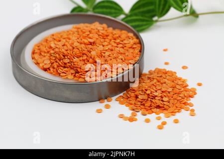 Ungekochte rote Linsen in Aluminiumschale auf weißer Oberfläche Stockfoto