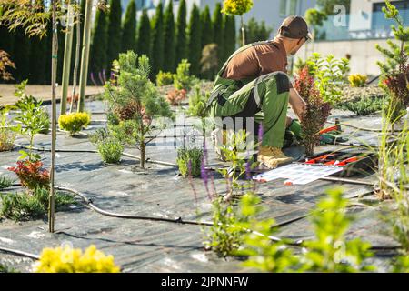 Hinterhof Garten Drip Bewässerungssystem installiert durch kaukasischen Garten Techniker in seinem 40s. Modernes Landschaftsthema. Stockfoto