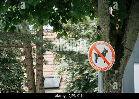 Hunde sind verboten Schilder Textschild - Übersetzung aus der französischen Sprache - Interdit Aux Animaux De Compagnie Stockfoto