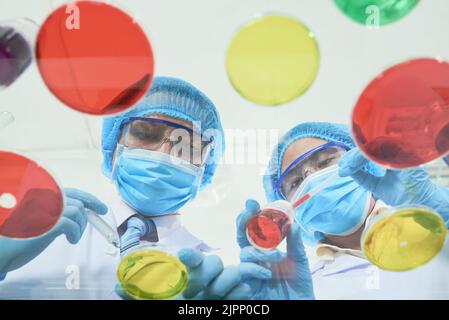 Blick durch die Glastisch-Oberfläche von konzentrierten asiatischen Wissenschaftlern, die weiße Mäntel und Gummihandschuhe mit Pipetten und Laborglas tragen Stockfoto