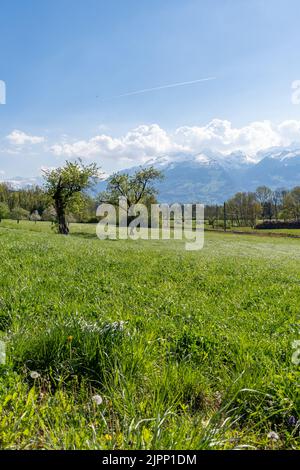 Nendeln, Liechtenstein, 28. April 2022 schöne Landschaft an einem sonnigen Tag im Frühling Stockfoto