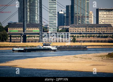 Rhein bei Düsseldorf, extrem niedriges Wasser, Rheinhöhe 47 cm, fallender Trend, Barge vor der Skyline mit Rheinneibrücke, Sandba Stockfoto