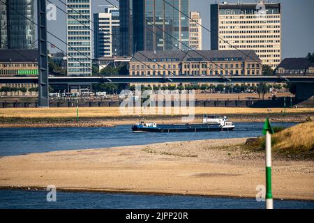 Rhein bei Düsseldorf, extrem niedriges Wasser, Rheinhöhe 47 cm, fallender Trend, Barge vor der Skyline mit Rheinneibrücke, Sandba Stockfoto