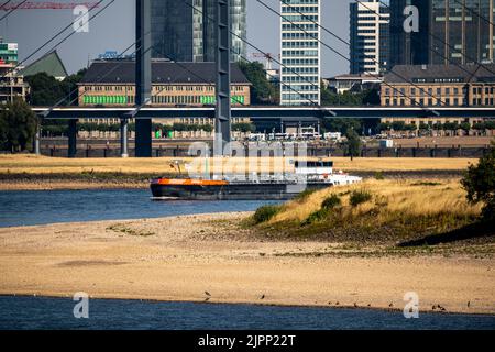 Rhein bei Düsseldorf, extrem niedriges Wasser, Rheinhöhe 47 cm, fallender Trend, Barge vor der Skyline mit Rheinneibrücke, Sandba Stockfoto