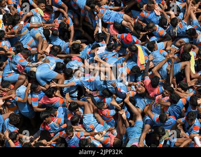 Mumbai, Indien. 19. August 2022. Hinduistische Anhänger sahen während des Janmashtami-Festivals in Mumbai aufeinander fallen, während sie eine Pyramide bildeten, um Dahi handi (irdischer Topf mit Quark gefüllt) zu brechen. Janmashtami wird gefeiert, um die Geburt von Lord Krishna zu markieren. Hinduistische Anhänger versammeln sich auf den Straßen und bilden akrobatische Pyramiden, um Dahi handi (irdischer Topf mit Quark gefüllt) zu brechen, um den Anlass zu feiern. Kredit: SOPA Images Limited/Alamy Live Nachrichten Stockfoto