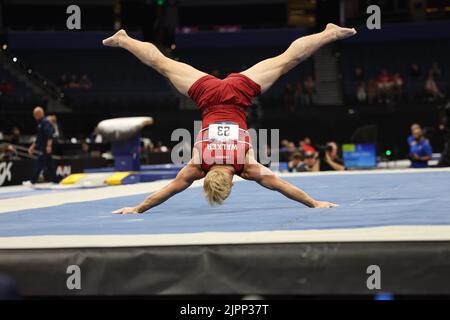 18. August 2022: Colt Walker aus Stanford tritt bei den Vorkämpfen der Männer bei der U.S. Gymnastics Championship 2022 an. Die Veranstaltung findet in der Amalie Arena in Tampa, FL, statt. Melissa J. Perenson/CSM Stockfoto