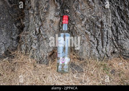 Während der Dürre im Vereinigten Königreich wurde nach einer Party im Ruskin Park im Süden Londons am 15.. August 2022 in London, England, eine einzige Flasche Wodka am Fuße einer Esche weggeworfen. Für das Wassergebiet der Themse, das London und den Südosten umfasst, besteht weiterhin ein Rohrleitungsverbot. Stockfoto