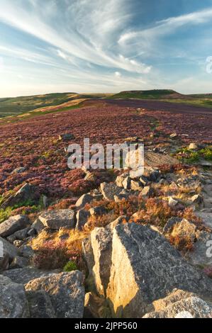 Blick über das Hathersage Moor vom Owler Tor im Peak District National Park, England, Großbritannien Stockfoto