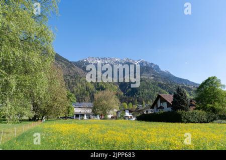 Nendeln, Liechtenstein, 28. April 2022 Grüne Wiese und die alpen an einem sonnigen Tag Stockfoto