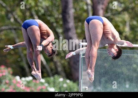 Rom, . 19. August 2022. Andreas Sargent Larsen, Eduard Gugiu Timbretti während der Schwimmeuropameisterschaften in Rom 2022. Rom 19.. August 2022 Photographer01 Kredit: Unabhängige Fotoagentur/Alamy Live Nachrichten Stockfoto