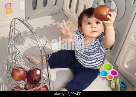 11 Monate alter Junge zu Hause, der mit einer Hand den Apfel hält und ihn anschaut Stockfoto
