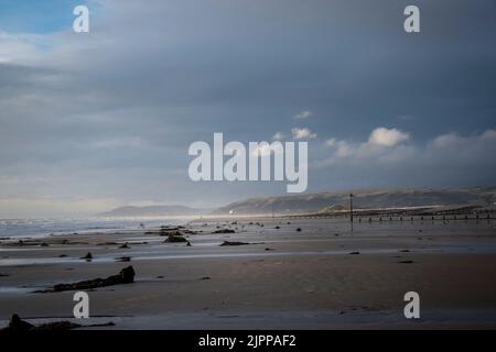 Der versteinerte Wald in borth Stockfoto