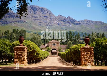 Ein Blick auf das Weingut Waterford in Helderberg, Südafrika Stockfoto