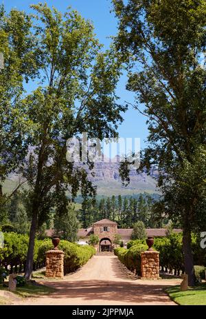 Eine vertikale Ansicht des Weinguts Waterford in Helderberg, Südafrika Stockfoto