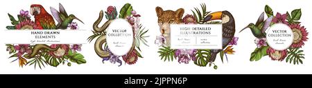 Handgezeichnete Vorlagen für tropische Tiere. Vintage Illustrationen von Leopard, Schlange, Eidechse, Kolibri, Tukan, Scharlachrote Ara, Monstera, Banane Stock Vektor