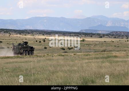 Ein Aufklärungsfahrzeug M1127 mit 3. Squadron, 61. Kavallerieregiment, 2. Stryker Brigade Combat Team, 4. Infantry Division manövriert auf der Spur während der Qualifikation der Stryker-SchützenTabelle V auf Fort Carson, Colorado, 18. August. Die Qualifikation der Schützenmannschaft bestätigt die Mannschaften als geschlossene Teams, die in der Lage sind, als Stryker-Crew zu schießen, sich zu bewegen und effektiv zu kommunizieren. Foto der US-Armee von Maj. Jason Elmore. Stockfoto