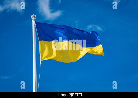 Flagge der Ukraine auf weißem Himmel Hintergrund. Nationales Symbol für Freiheit und Unabhängigkeit. Ukrainische Flagge winkt im Wind. Stockfoto