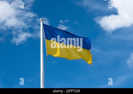 Flagge der Ukraine auf weißem Himmel Hintergrund. Nationales Symbol für Freiheit und Unabhängigkeit. Ukrainische Flagge winkt im Wind. Stockfoto