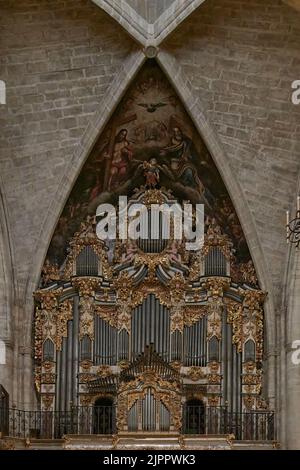 Orgel in der Erzpriesterkirche Santa María la Grande, Morella, Castellón, Valencia, Spanien, Europa Stockfoto