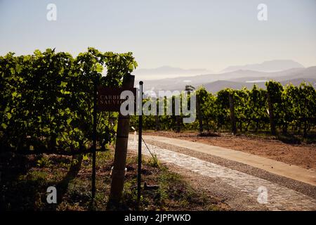 Das Delaire Graff Estate, in Stellenbosch, Südafrika, an einem sonnigen Tag tagsüber Stockfoto