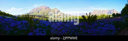 Ein Panoramablick vom Delaire Graff Wine Estate in Stellenbosch, Südafrika mit Bergen im Hintergrund Stockfoto