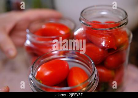 Hausgemachte eingelegte Tomaten in Gläsern fermentierte Tomaten in transparentem Glas. Hausgemachte Tomaten aus der Dose Stockfoto
