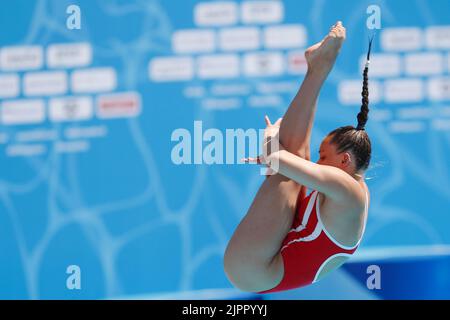 Rom, Italien, 16.. August 2022. Laura Valore aus Dänemark tritt am sechsten Tag der Schwimmeuropameisterschaft im Foro Italico Park in Rom, Italien, im Spring Board Preliminary der Frauen 1m an. 16. August 2022. Kredit: Nikola Krstic/Alamy Stockfoto