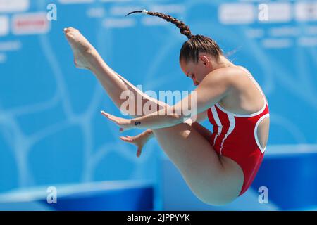 Rom, Italien, 16.. August 2022. Laura Valore aus Dänemark tritt am sechsten Tag der Schwimmeuropameisterschaft im Foro Italico Park in Rom, Italien, im Spring Board Preliminary der Frauen 1m an. 16. August 2022. Kredit: Nikola Krstic/Alamy Stockfoto